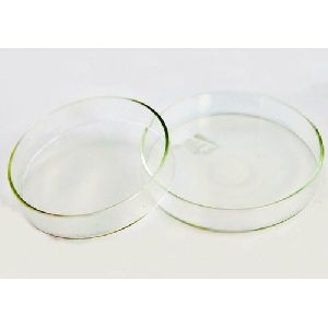Laboratory Glass Petri Dish