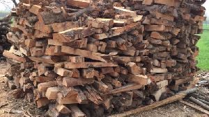 eucalyptus firewood