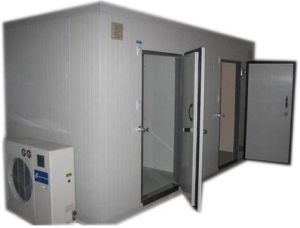 Blast Freezer Cold Storage Services