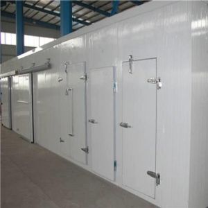 cold storage installation services