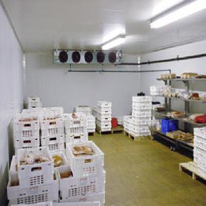 Vegetable Cold Storage Services