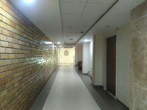 Grid False Ceiling Services