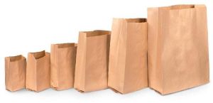 Eco Friendly Paper Grocery Bag