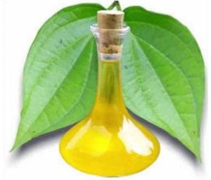 Betel Leaf Oil