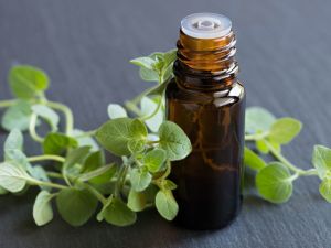 Oregano Oil