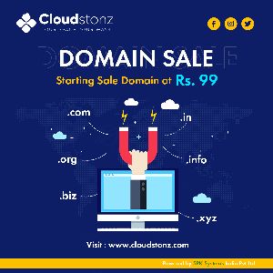 Domain Hosting Services