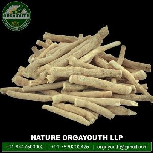 Organic Dried Shatavari Root