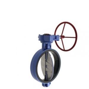 Butterfly Valve