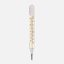 Oval Shape Mercurial Thermometer