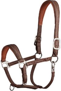 Leather Halter