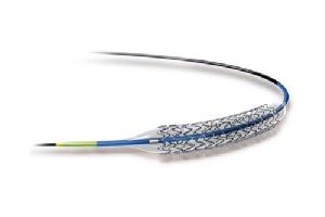 coronary stent