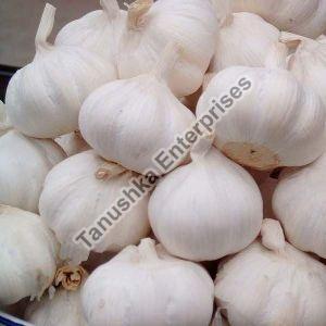 Fresh Garlic