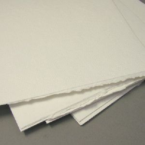 Paper Pulp Sheet