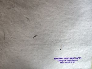 Plantable Seed Paper