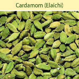 Cardamom Essential Oil