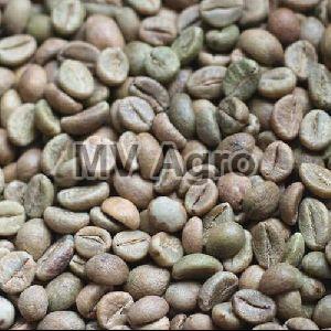 Robusta Cherry AA Coffee Beans