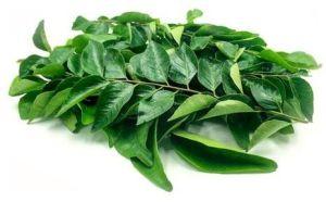 Fresh Curry Leaves