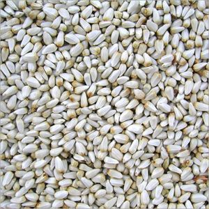 INDIAN SAFFLOWER SEEDS