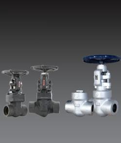 L&T forged gate & globe, check valve 50mm to 50mm