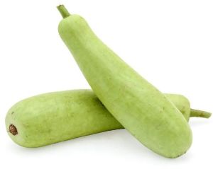 Bottle Gourd