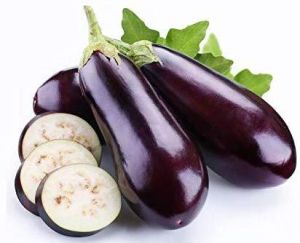 Brinjal