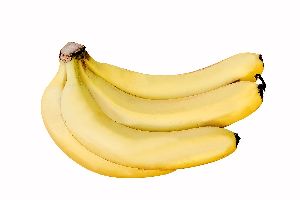 Cavendish Banana