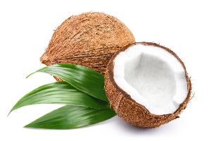 Coconut