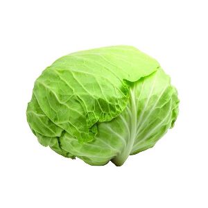 Fresh Cabbage