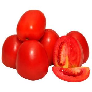 Fresh Tomato