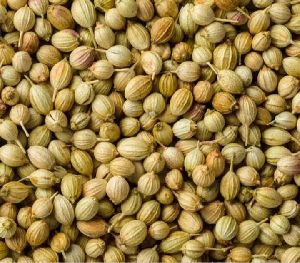 Coriander Seeds