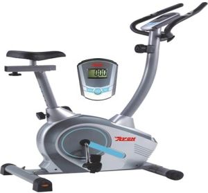 UP-973 Upright Bike