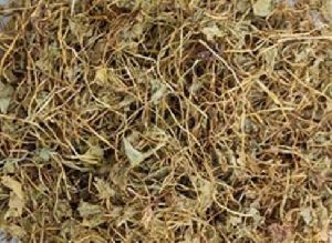 Dried Brahmi Leaves