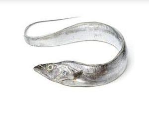 Fresh Ribbonfish