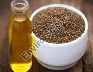 Ajowan Oil