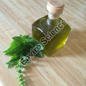 Cajuput Oil