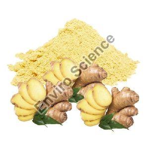 Ginger Extract