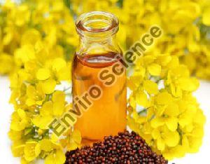 Mustard Oil