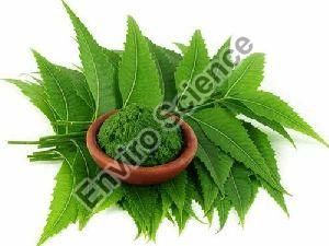 Neem Leaf Extract