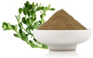 Brahmi Extract