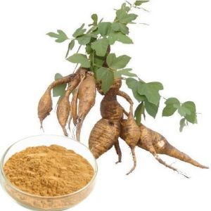 Indian Kudzu Extract