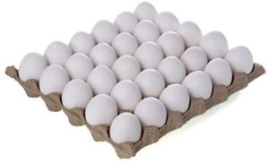 Fresh Eggs