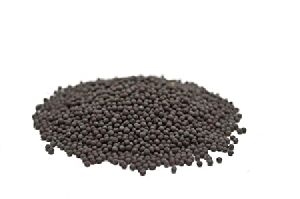 Black Mustard Seeds