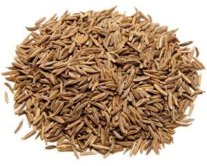 Caraway Seeds