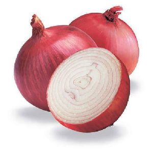 Fresh Red Onion