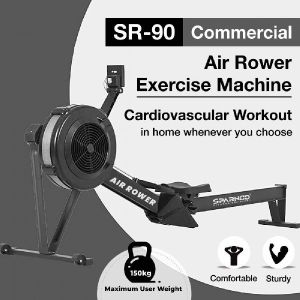 Commercial Air Rower