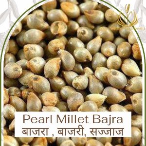 Bajra Seeds