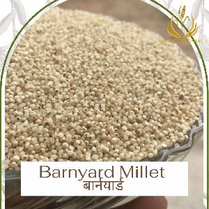 Barnyard Millet