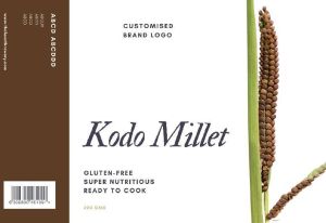 Kodo millet grain unprocessed