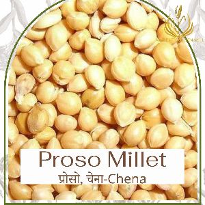 Proso Millet Seeds