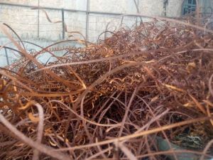 Copper Scrap